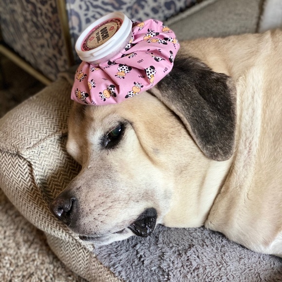 Meet your Posher, Kelly - Picture 1 of 1